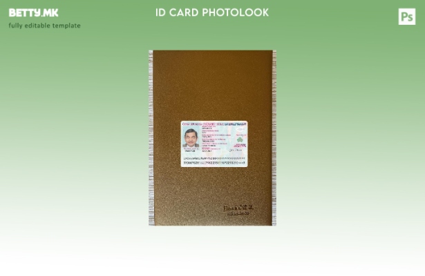 модерен стил Чешка идентификациона карта со фото изглед преден шаблон